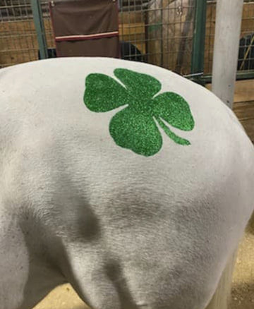 Glittermarx Cutie Marx